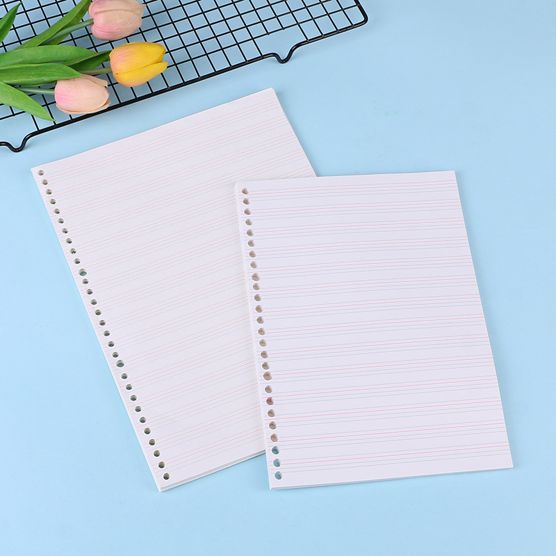 A4 A5 B5 dizüstü dergisi orta  - Notebook Dotted A5 incelemesi ve fiyatı